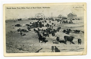 Image description is not available for PHO-264-702